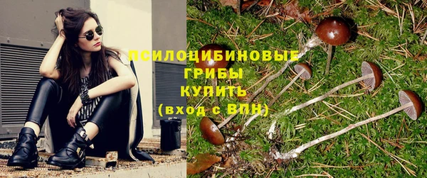 мяу мяу мука Козельск