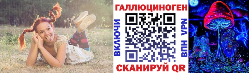 Купить закладки  Богданович  Псилоцибиновые грибы прущие грибы 